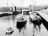 In de sluis van Sas van Goes (Coll fam. van der Houwen)